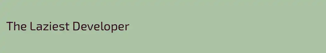 The Laziest Developer